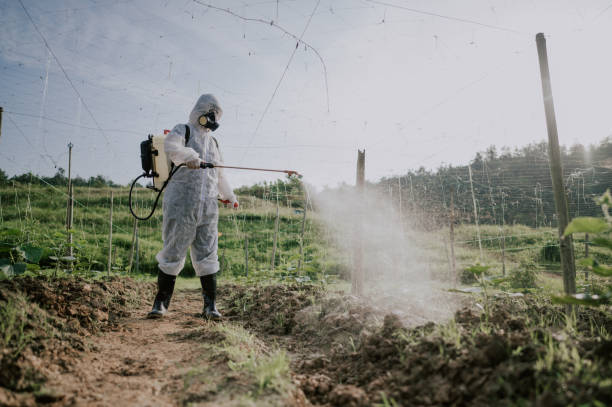 Best Ant Control Services  in Frontenac, MO