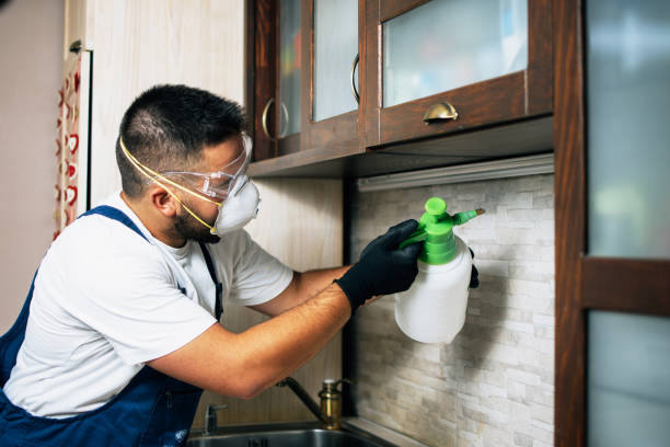 Best Exterminator Services  in Frontenac, MO