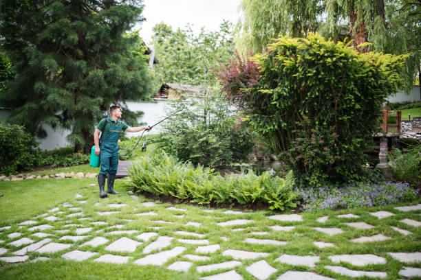 Pest Control Cost in Frontenac, MO
