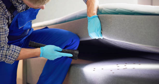 Best Emergency Pest Control  in Frontenac, MO