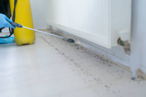Best Pest Removal Services  in Frontenac, MO